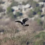 Orchard Guard Tower Πανσιόν *