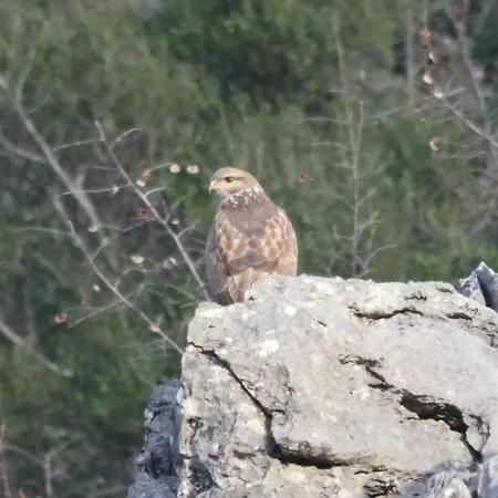 Orchard Guard Tower Πανσιόν *